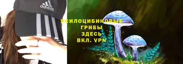ECSTASY Абаза